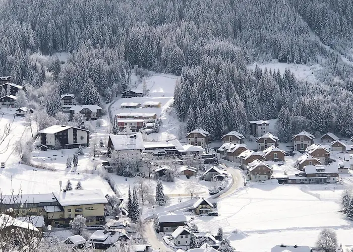 Apartment Waldvilla Bad Kleinkirchheim