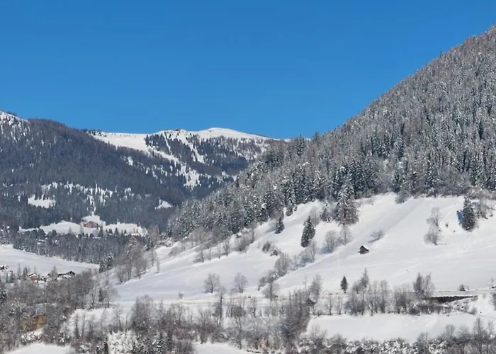 Apartment Waldvilla Bad Kleinkirchheim